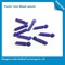 Lancetas de sangre disponibles quirúrgicas para la glucosa en sangre que prueba el material plástico
